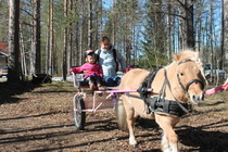 Turre-ponin kärrikyyti oli suosittua puuhaa tapahtumassa.