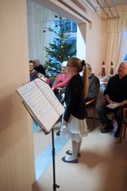 Mimosa lauloi kauniisti